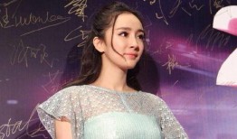 杨幂王仁君最新爆料,揭秘幕后故事与情感纠葛